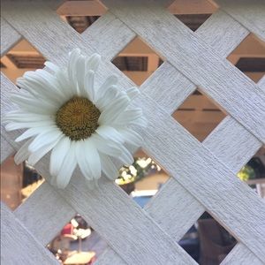 Meet your Posher, Addi